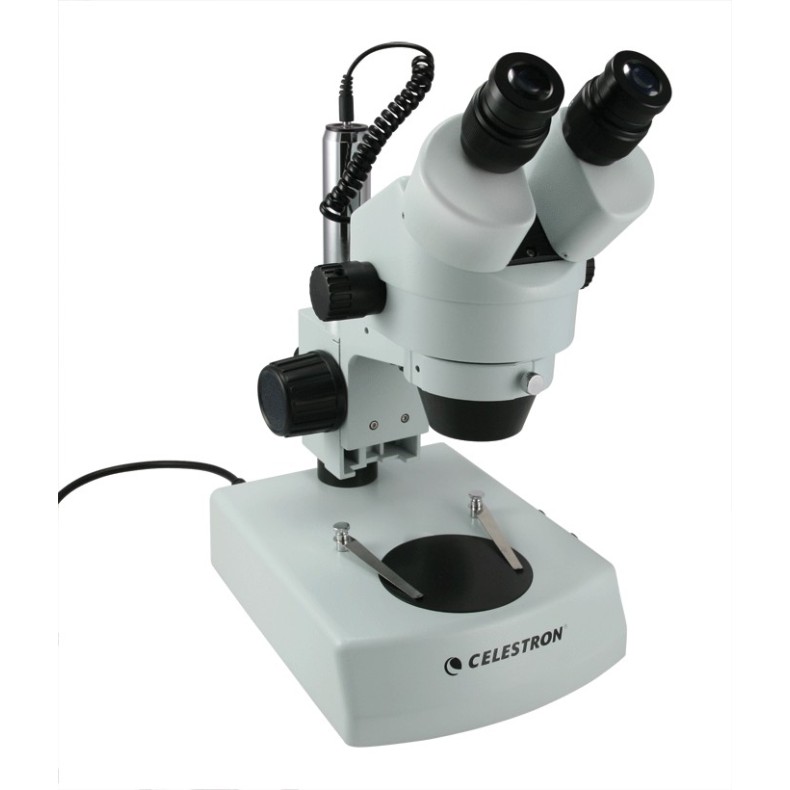 Stereo microscope ref.44206