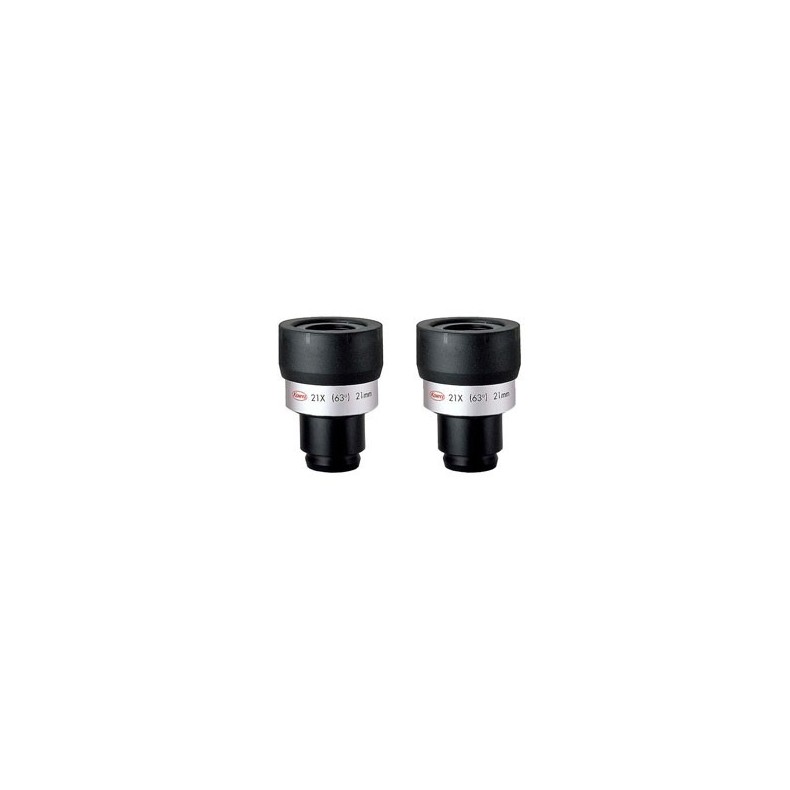 Pair of 21x eyepieces TSE-21WH High Lander