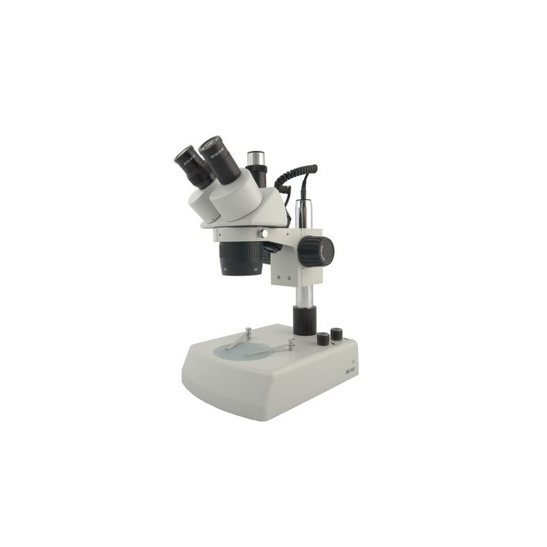 Stereo microscope BMS 11-B-2L Trino